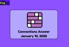 Connections answers