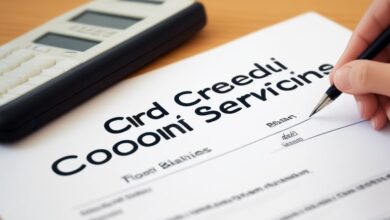 credit collection services
